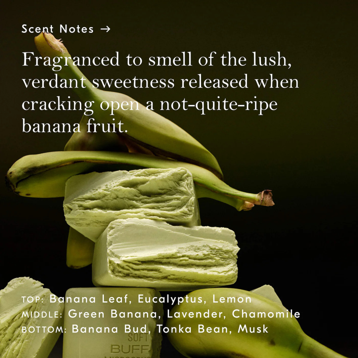 Soft Services Green Banana Buffing Bar