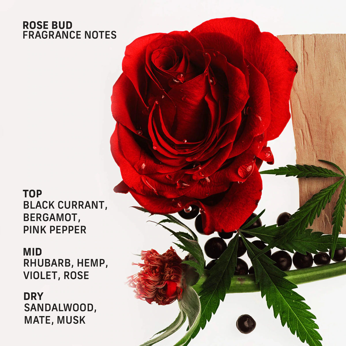CYKLAR Rose Bud Sensorial Body Wash