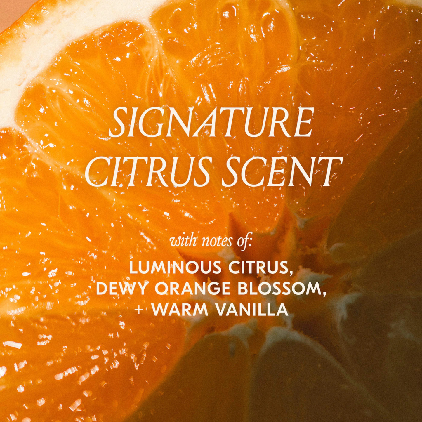 dae - Cactus Fruit 3-in-1 Styling Cream