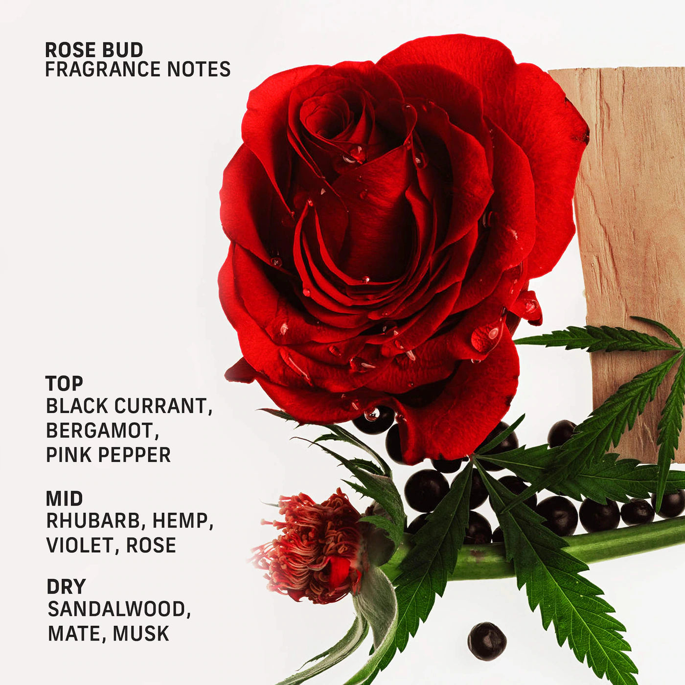 Rose Bud Sensorial Body Wash